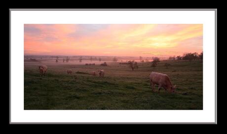 landschap in de argonne