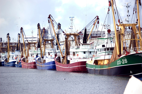 Haven van IJmuiden