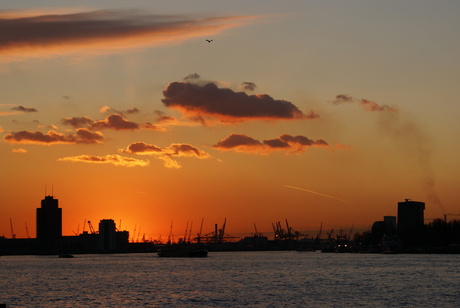 Rotterdam bij ondergaande zon