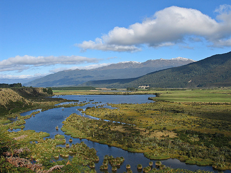 Redcliff Wetland