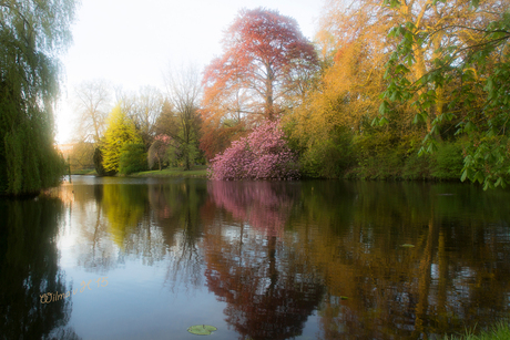 Spring Splendour at Sunrise on Kingsday- Dordrecht 2015
