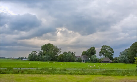 Grote Melm