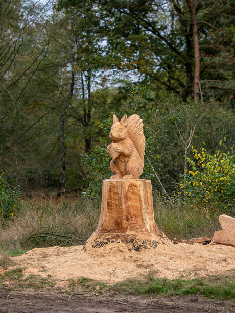 de boswachter heeft weer iets moois gemaakt