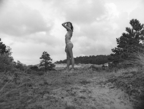 Garden of eden