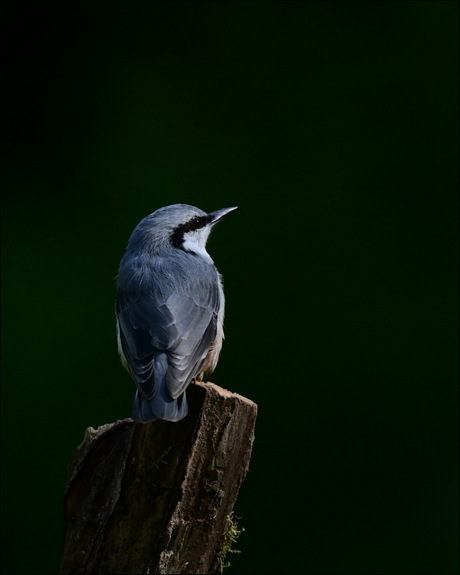 Even in de ruststand