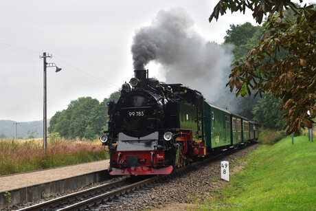 Rasender Roland smalspoorbaan. 