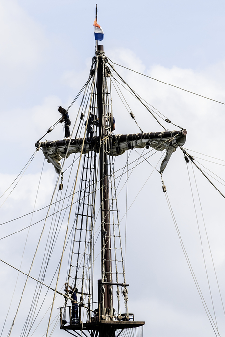 Hogerop met kraaiennest