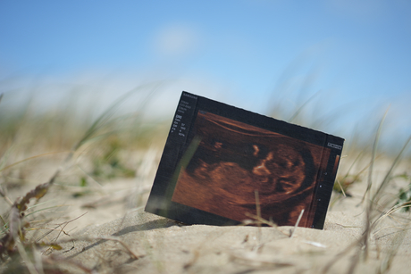 Nieuw leven 👶🏼