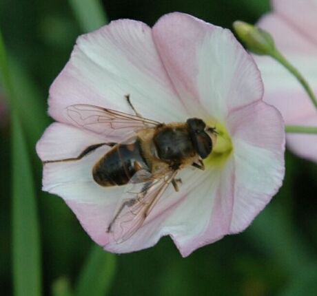 Hé,hé ,eindelijk!!!