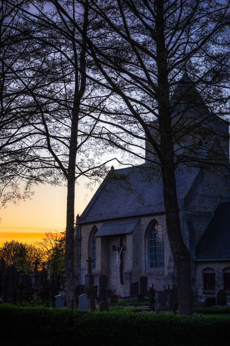 in het laatste licht