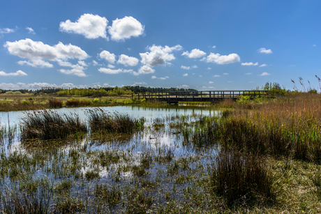 Een bruggetje in de Kwade Hoek