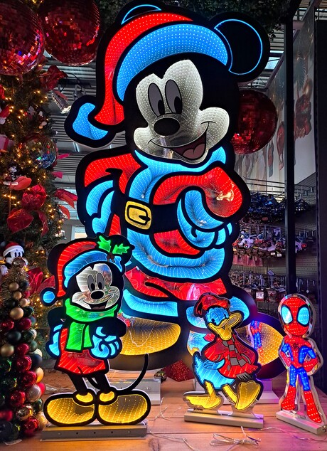 20251015 132344 Kleuren feest met Micky Mouse en fam foto 15 okt 2025