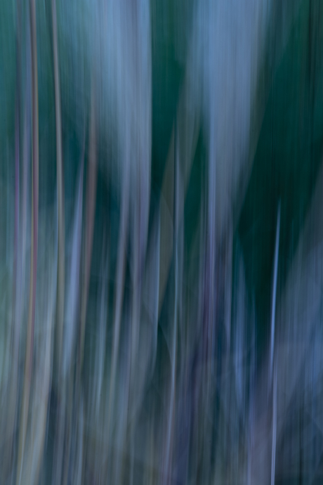 Abstract