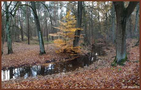 Herfst