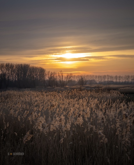 Tielrode