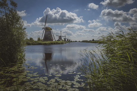 2024 Kinderdijk