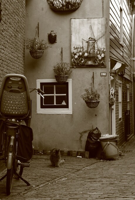 Straatje in Volendam