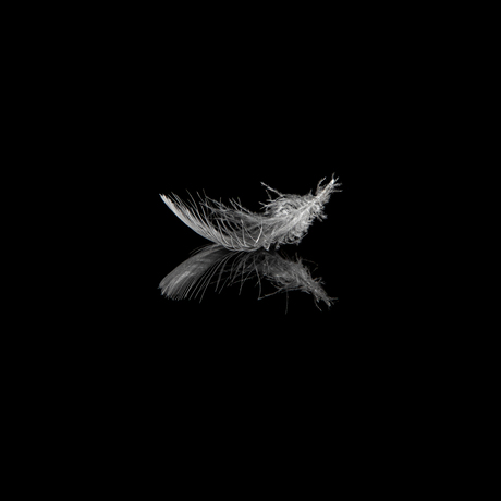 Soms zegt stilte meer dan duizend woorden.