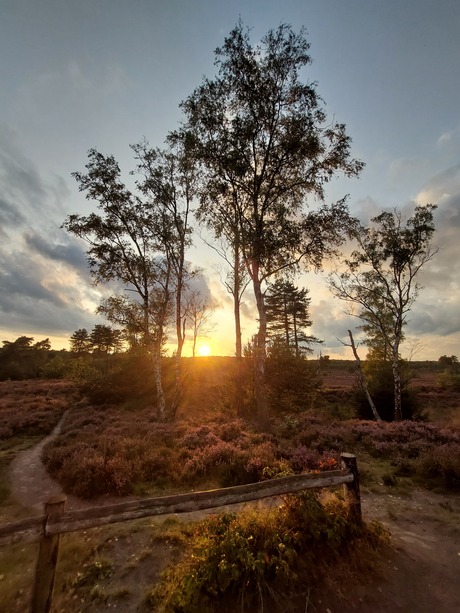  Mijn foto van het jaar