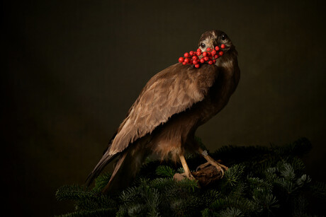 Voorbode van Kerstmis