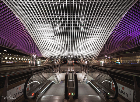 Station Guillemins Luik