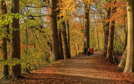 Nagenieten