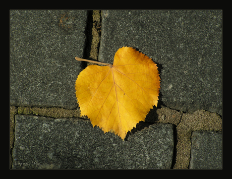 Hartje Herfst