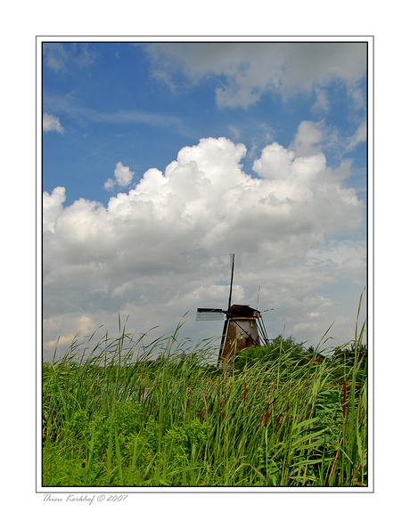 Windmolen Kinderdijk (20)