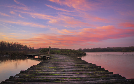 Zonsopkomst in Broekpolder, Vlaardingen