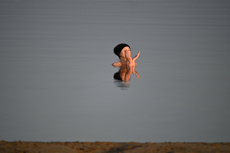 Koudwaterzwemmen en helemaal Zen