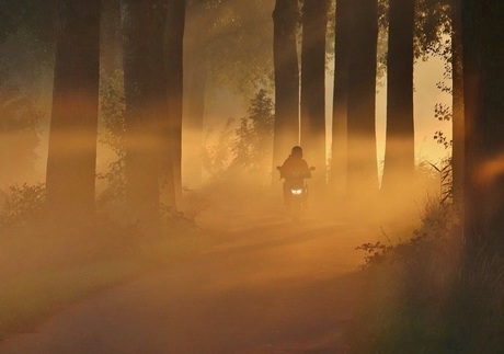 Scooterrijder in mistig polderlandschap