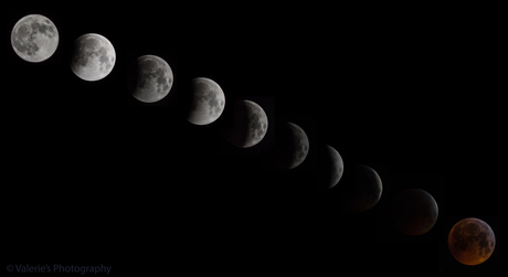 Moon Eclipse (21 januari 2019)