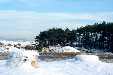 Oranjezon in de Sneeuw 9