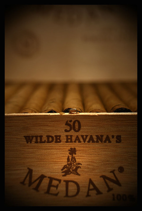 Wilde Havana's!