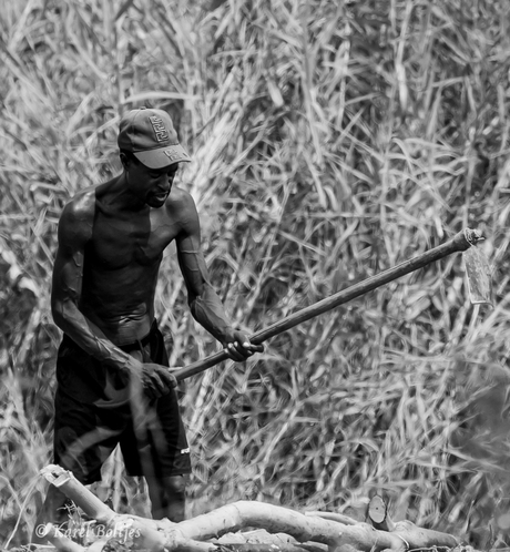 Man bewerkt zijn veld.