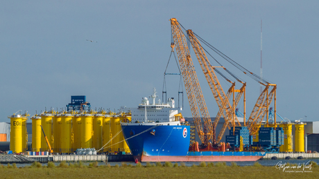 "𝑮𝑷𝑶 𝑨𝒎𝒆𝒕𝒉𝒚𝒔𝒕"