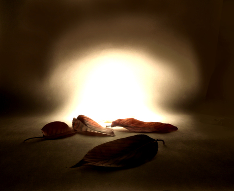 ...laatste herfst....