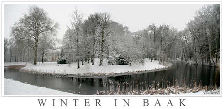 Baak in Winter