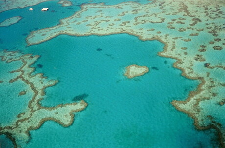heart reef australie