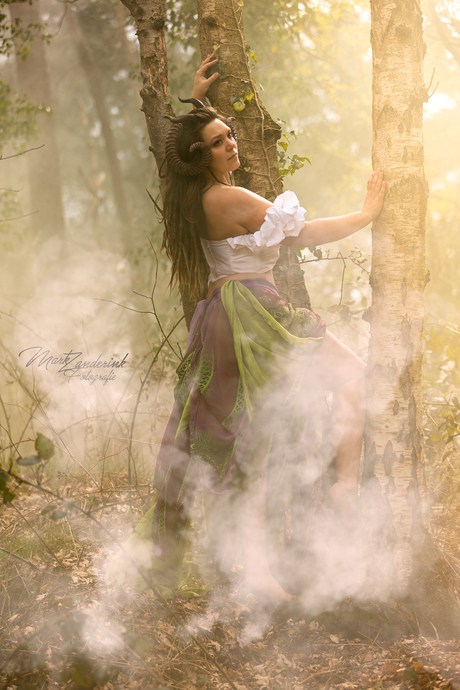 A Faun in the  fairy woods