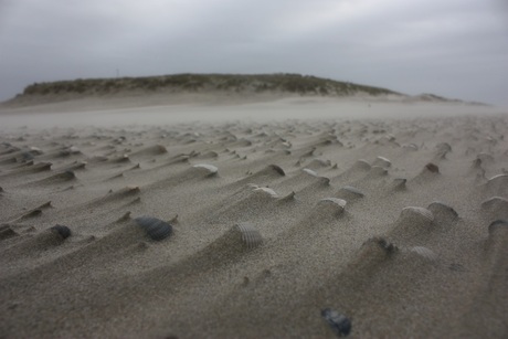 harde wind op het strand van Texel