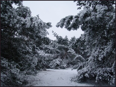 Wintertijd