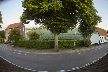 De Dijk