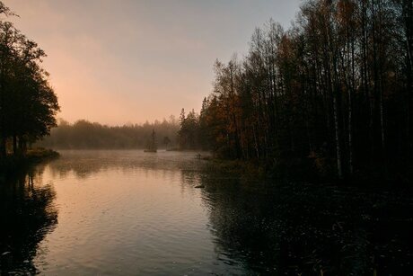 broakulla stampadammen