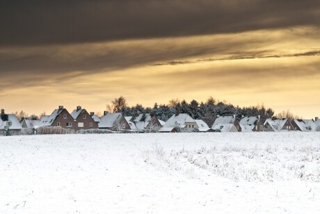 Winter in Ommel