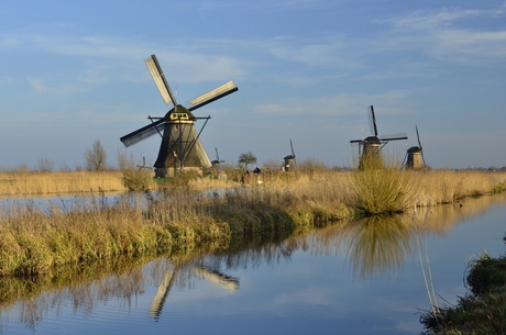 De molens bij Kinderdijk