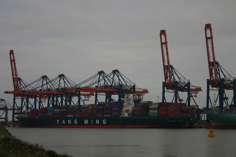 Containerhaven Rotterdam