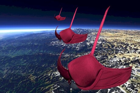 bra in space