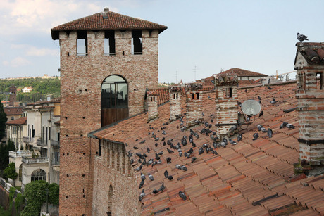 museumvecchio (1023).jpg