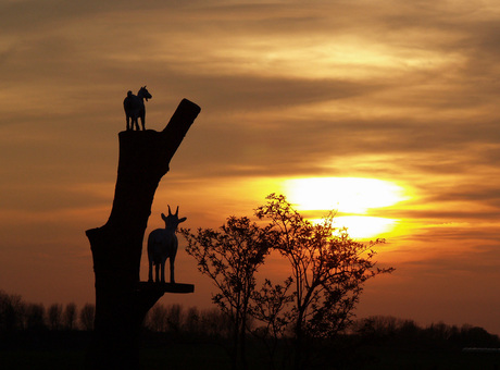 Sunset Geertje